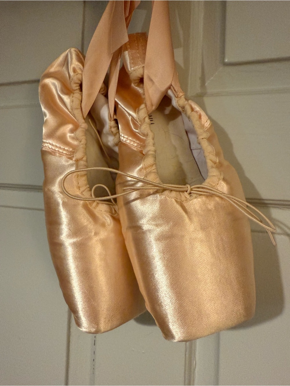 Wendy Wu Ballet Pointe Shoes in Blush Pink